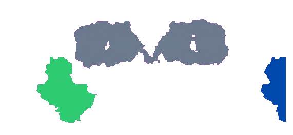 Antibody format carousel